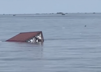 На Одещині фіксують наслідки екоциду