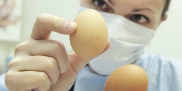 Як визначити свіжість яєць не відходячи від прилавку: топ-три дієві поради