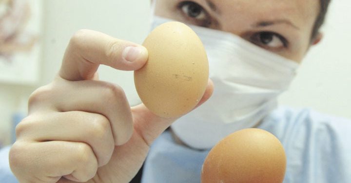 Як визначити свіжість яєць не відходячи від прилавку: топ-три дієві поради