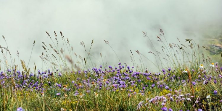 Синоптики оновили прогноз на 2 липня