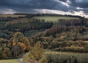 Якою в Україні буде погода у липні