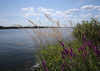 ЗСУ можуть форсувати Дніпро