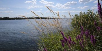 ЗСУ можуть форсувати Дніпро