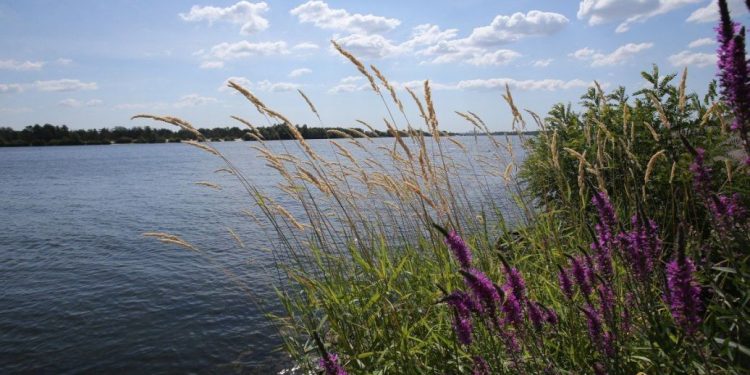 ЗСУ можуть форсувати Дніпро