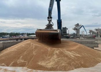 🌾 «Зернова угода» фактично не діє: інспекції не працюють, нічого не вантажиться