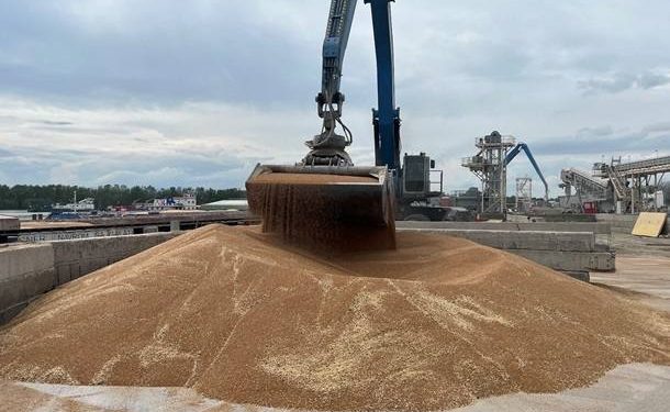 🌾 «Зернова угода» фактично не діє: інспекції не працюють, нічого не вантажиться