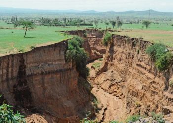 Величезні тріщини в Африці можуть призвести до появи нового моря – вчені