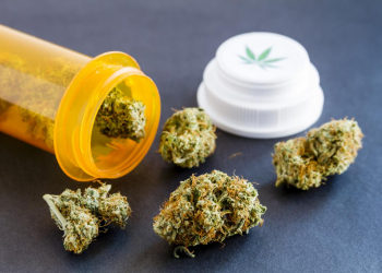 Минздрав поддерживает легализацию в Украине медицинского каннабиса