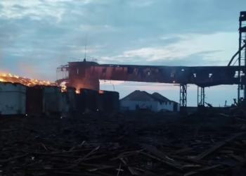 Росіяни обстріляли територію зернового терміналу на Херсонщині