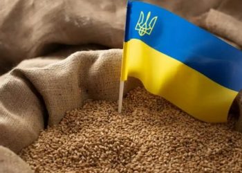 РФ поцілила в агропідприємство на Одещині, намагаючись знищити запаси зерна, – Гуменюк