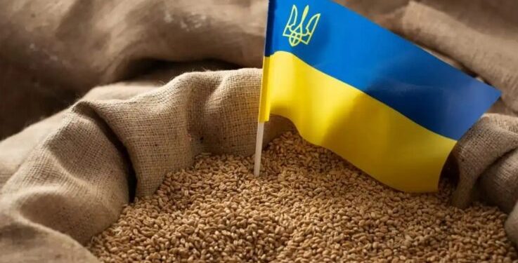 РФ поцілила в агропідприємство на Одещині, намагаючись знищити запаси зерна, – Гуменюк