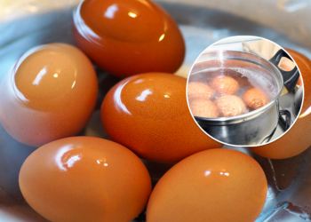 Для чого рослини поливати водою після варіння яєць: ви здивуєтесь