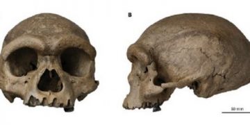 У Китаї знайшли стародавній череп: він не схожий на жодний людський, який бачили раніше