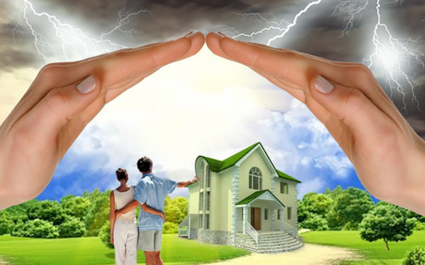 Як вигнати негатив з дому: ваша кішка дасть підказку