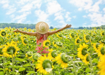 З четверга в Україні почне стрімко підвищуватись температура