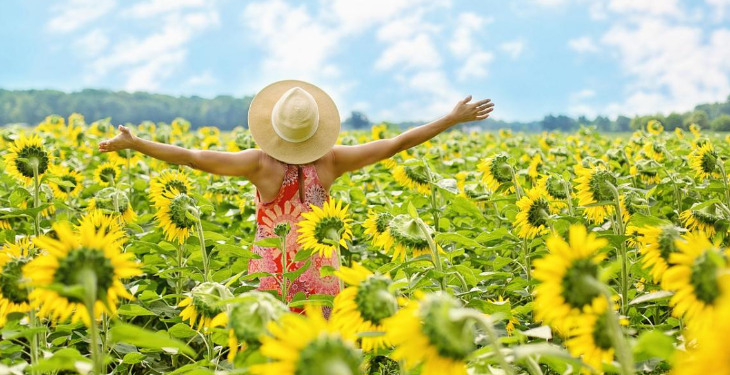 З четверга в Україні почне стрімко підвищуватись температура